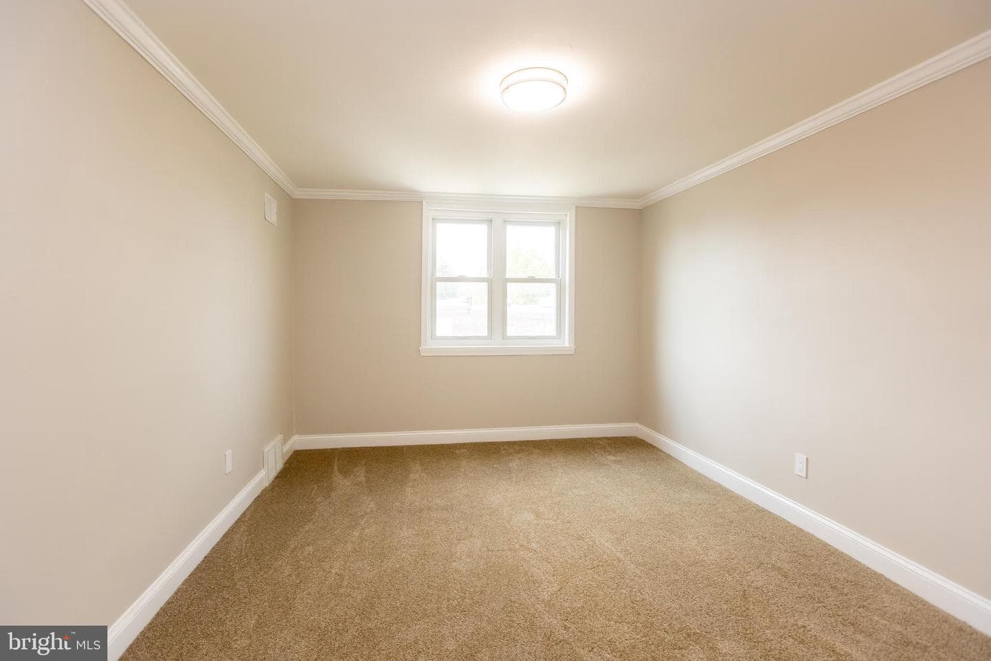136 Chadwick Avenue photo 7