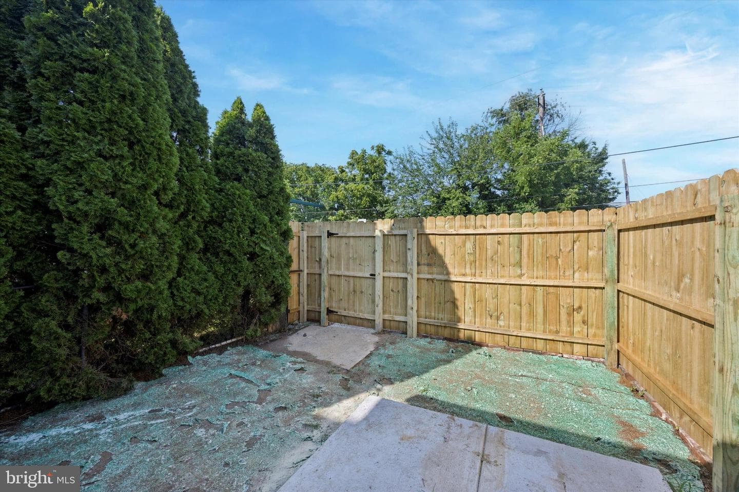 164 Wayne Avenue photo 15