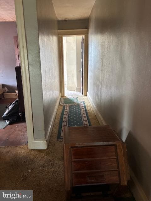 216 Woodlawn Avenue photo 10