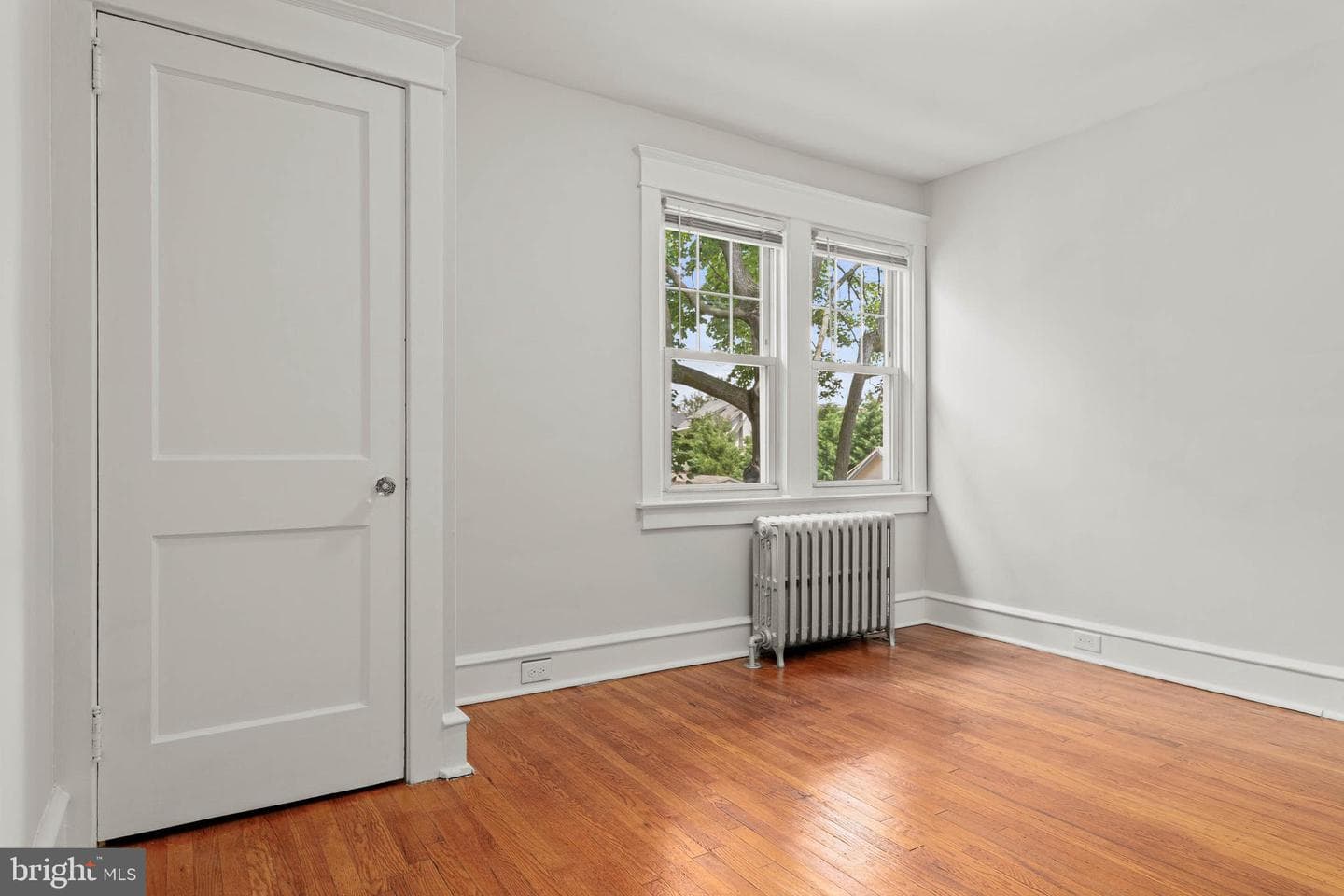 103 Campbell Avenue photo 15