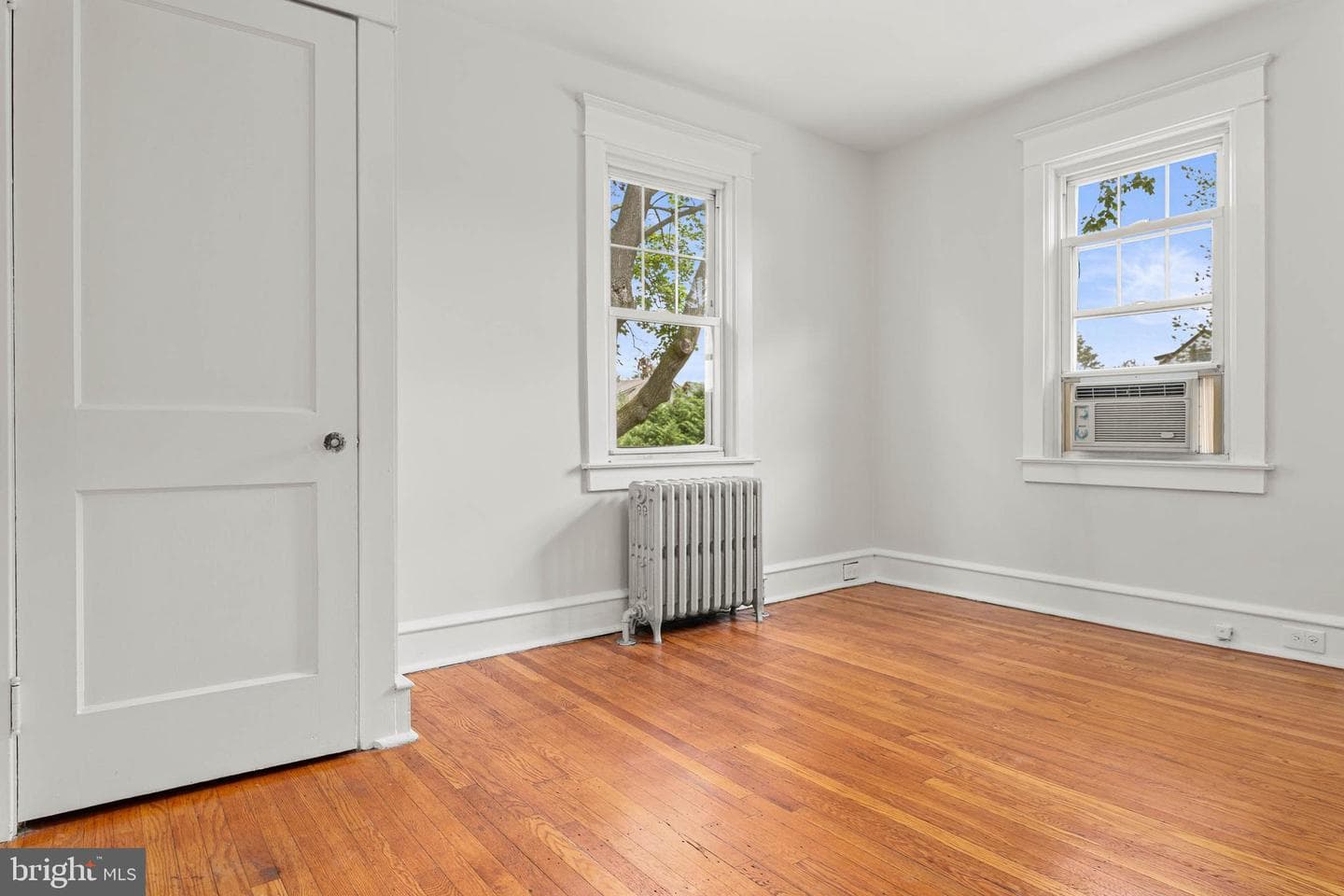 103 Campbell Avenue photo 18
