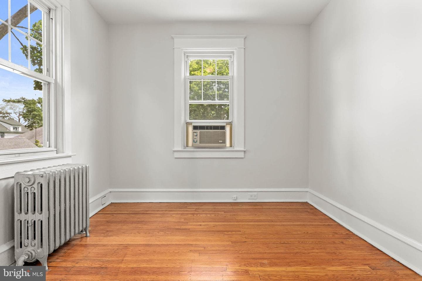 103 Campbell Avenue photo 19