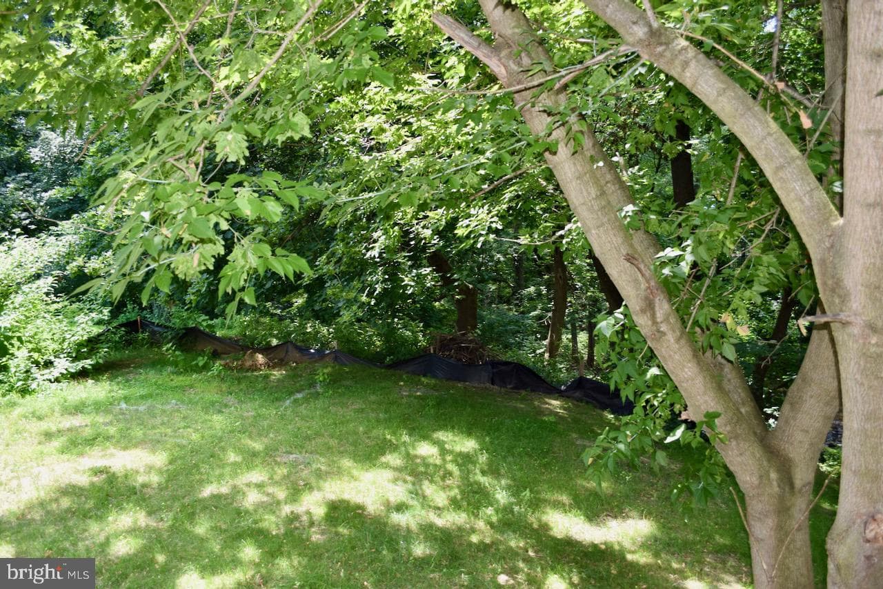 1226 Madison Avenue photo 8