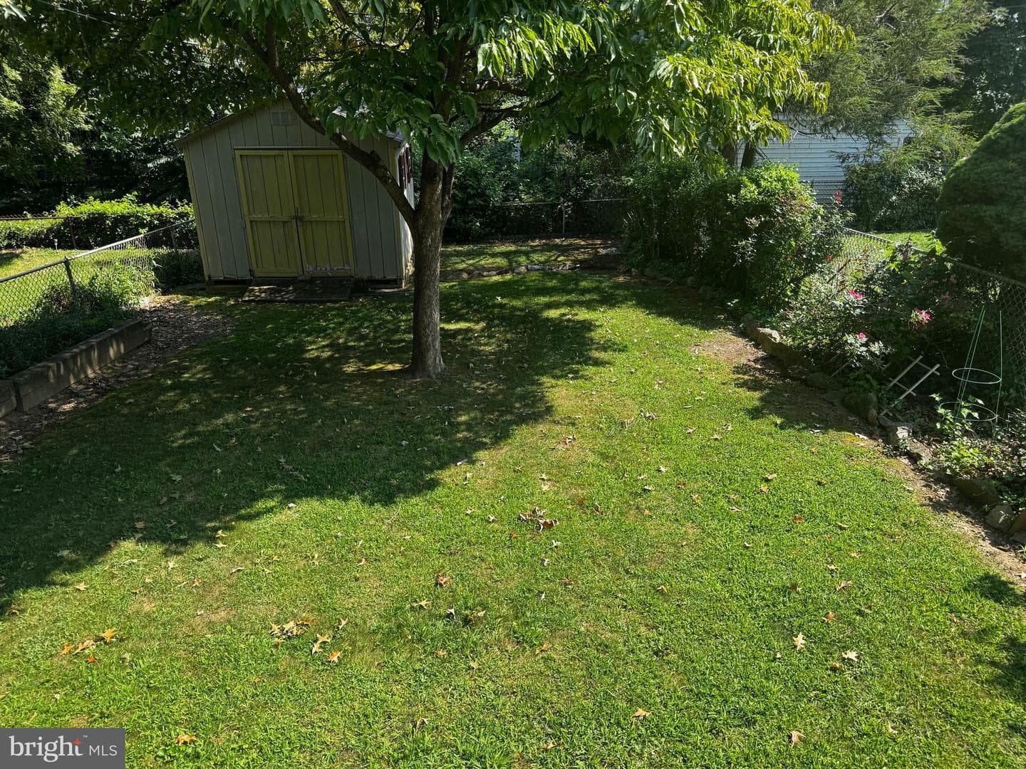 336 Holland Street photo 13