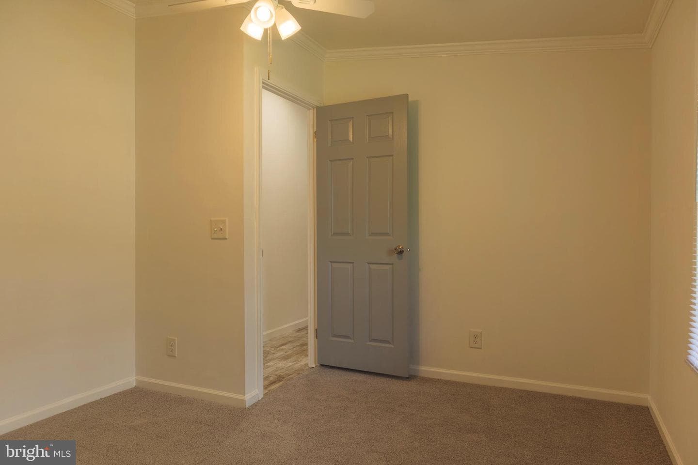 216 Park Drive photo 17
