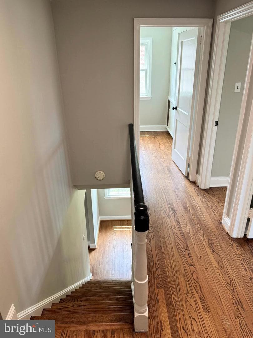 563 Rutherford Drive photo 10