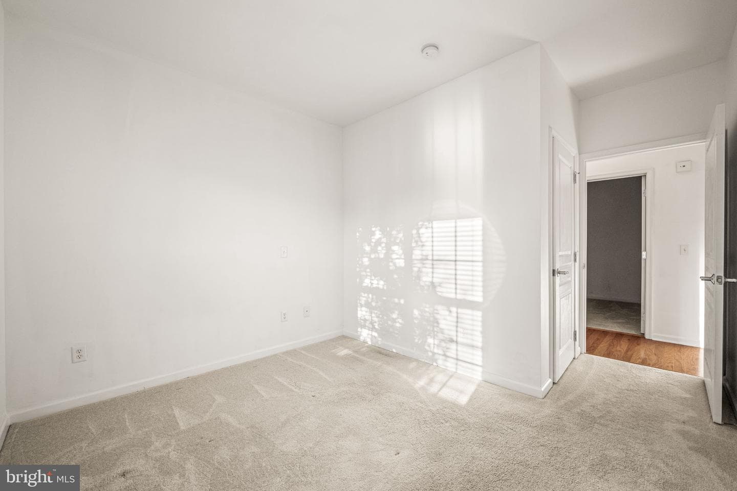 231 Creekside Drive photo 23