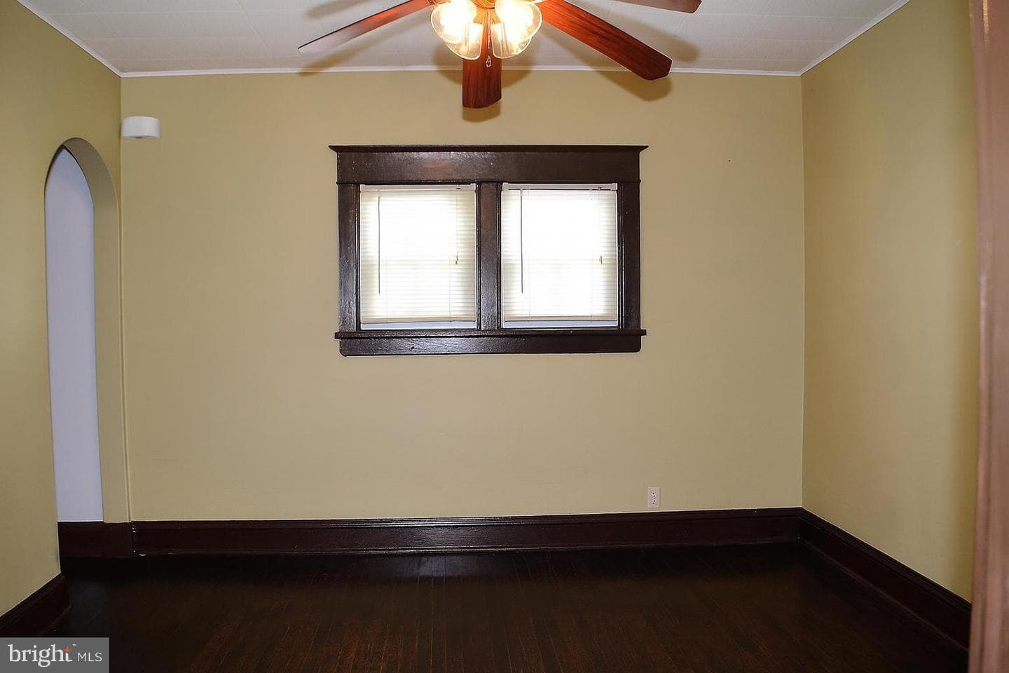 127 Mansfield Road photo 12