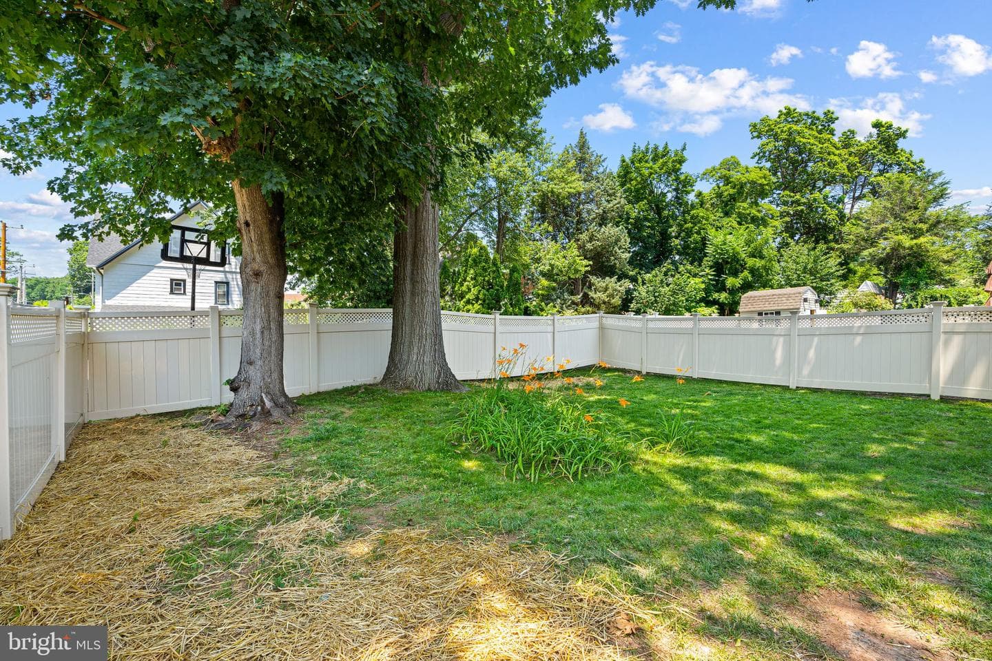 46 Rodman Avenue photo 33