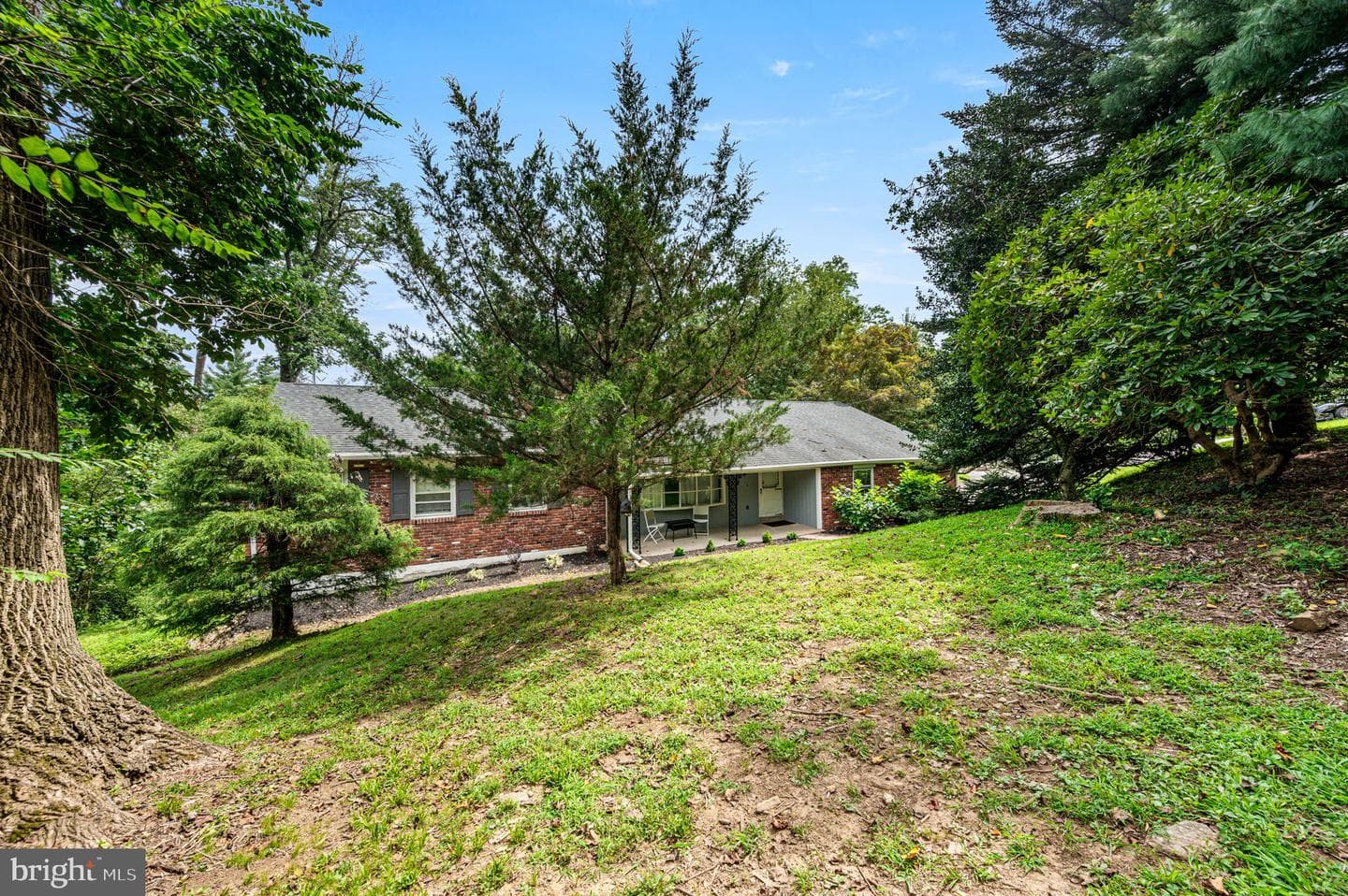 111 Cheyney Road photo 25