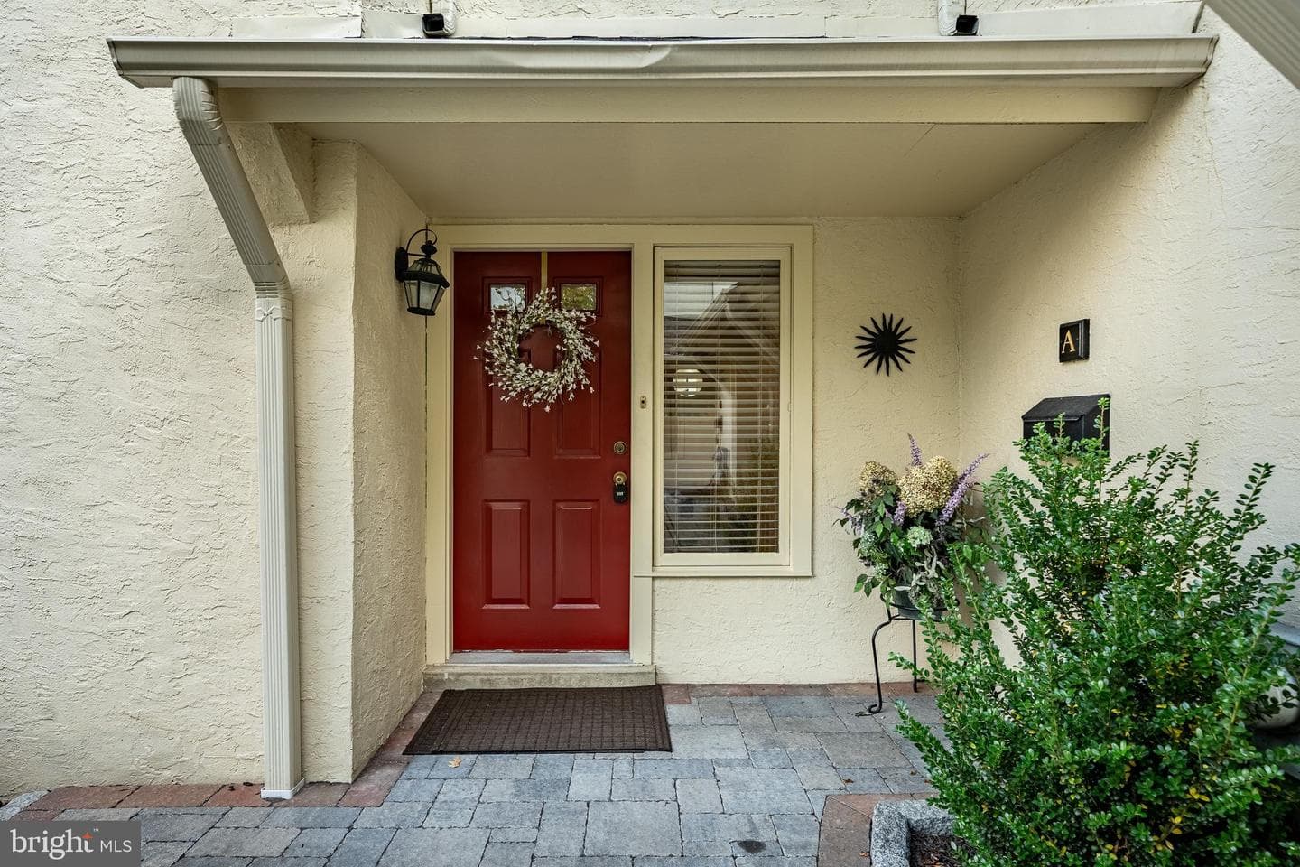 116 Montrose Avenue #a photo 4