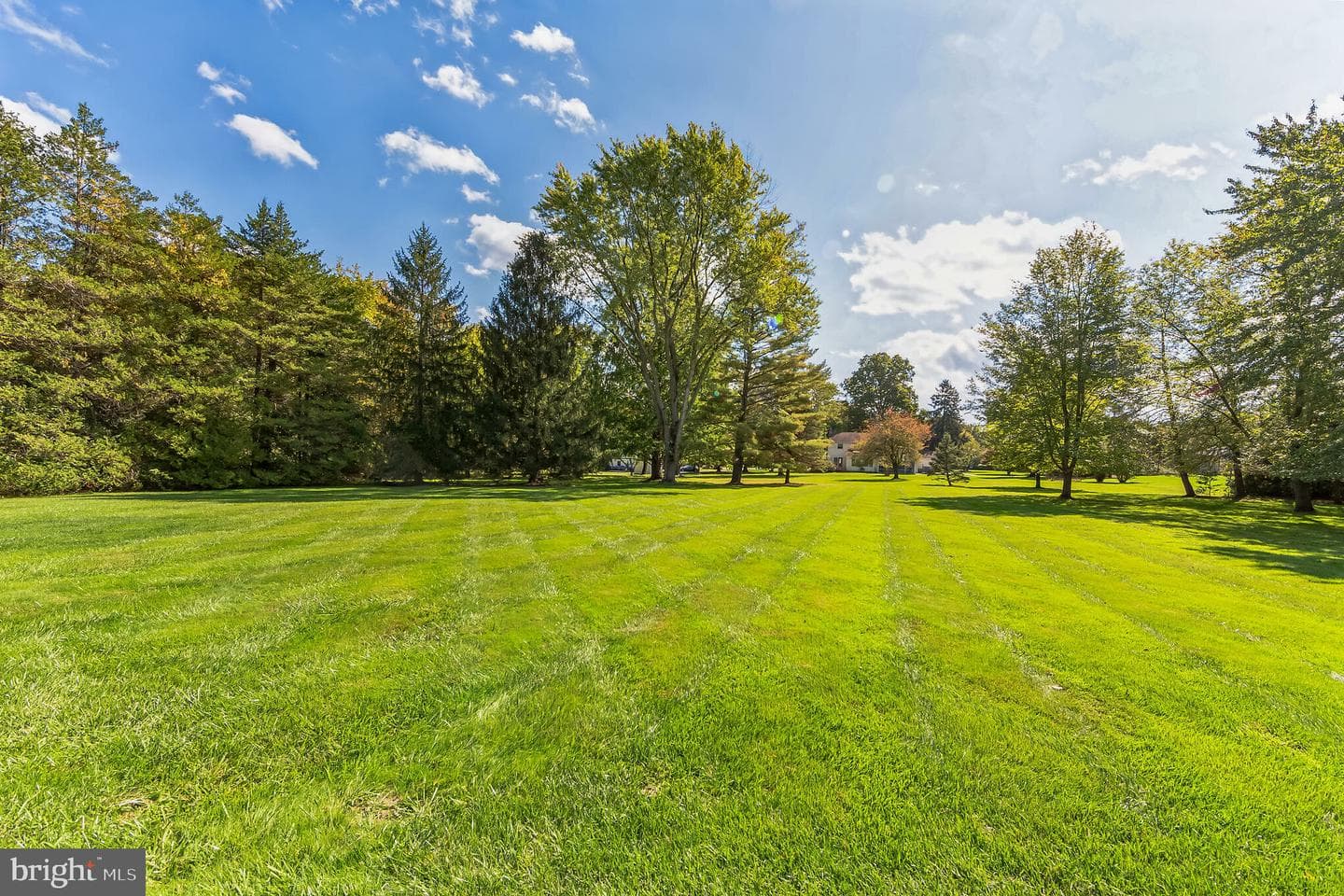 6 David Drive photo 43