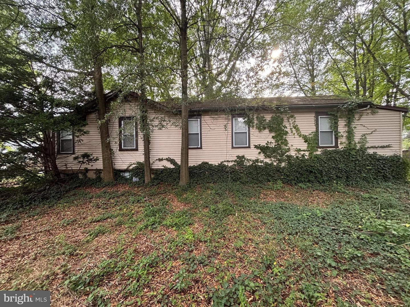 202 Mohican Street photo 21