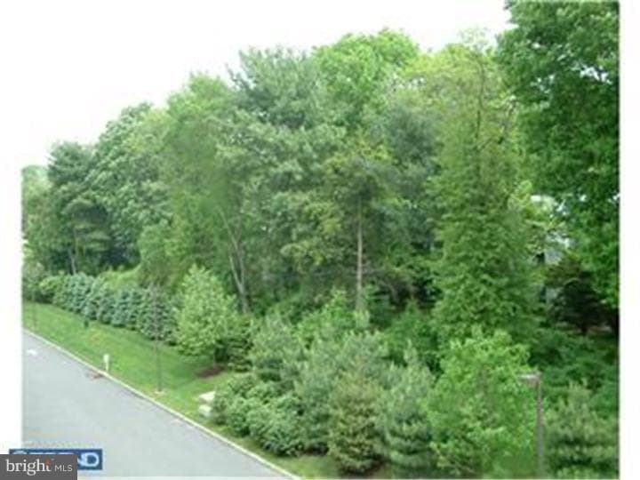 244 Baltimore Pike #332 photo 6