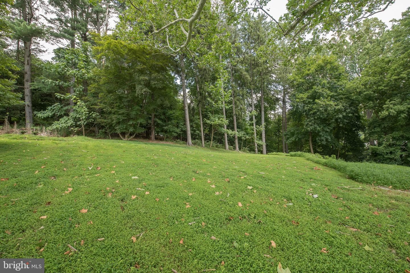 603 Beatty Road photo 69