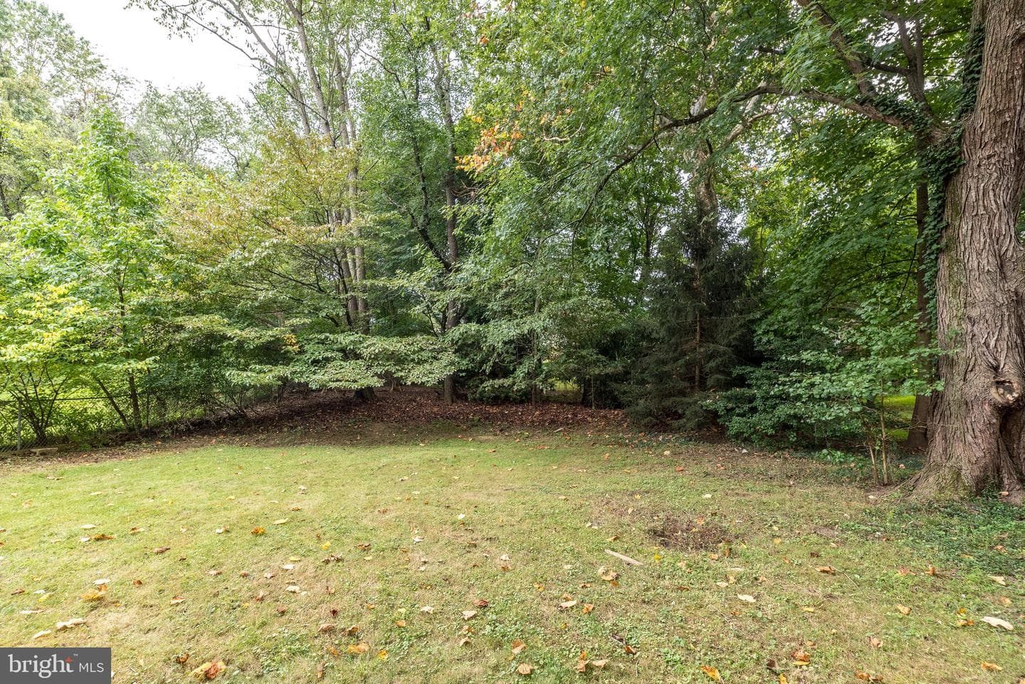 44 Yale Avenue photo 38