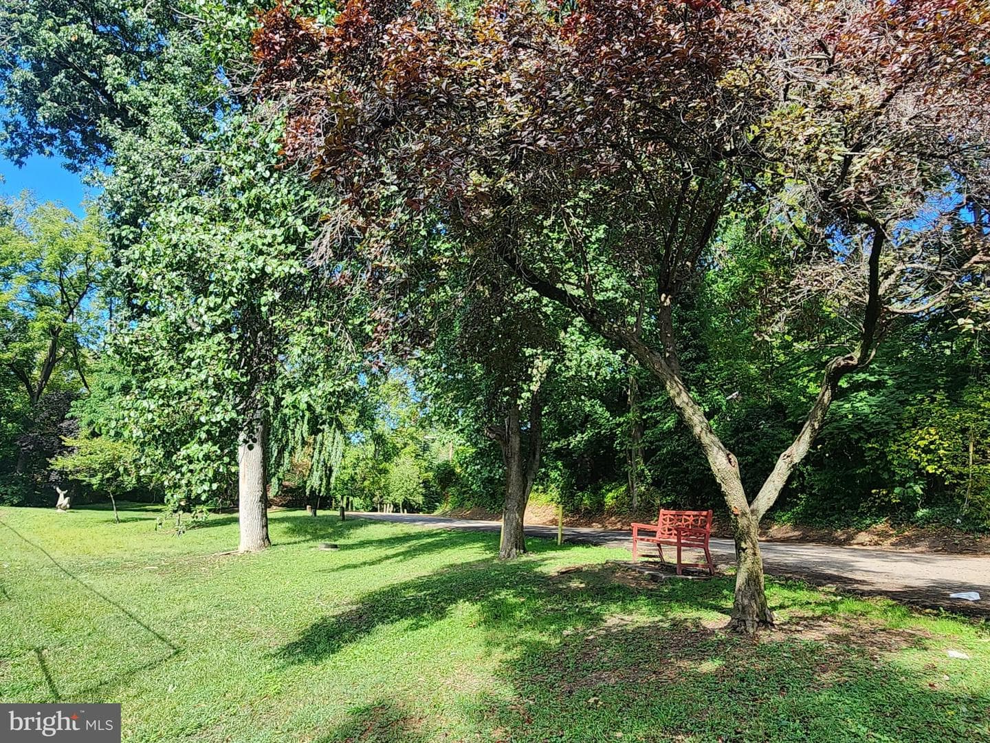 258 Margate Road photo 9