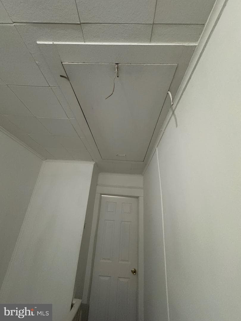 419 Custer Avenue photo 23