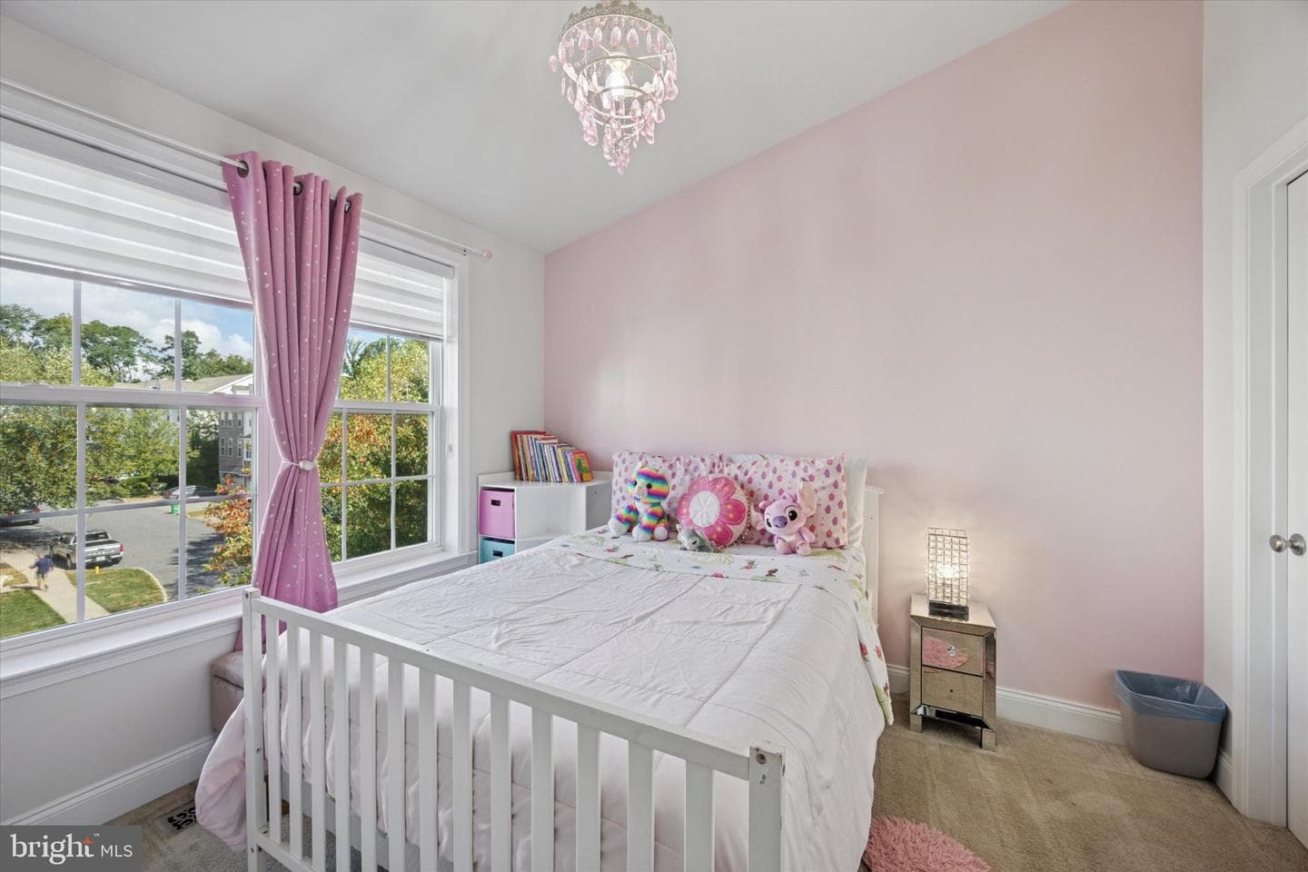 213 Corvus Circle photo 24