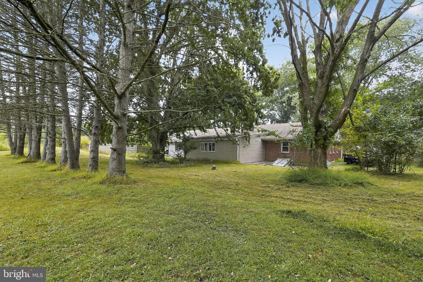 202 Conchester Road photo 24