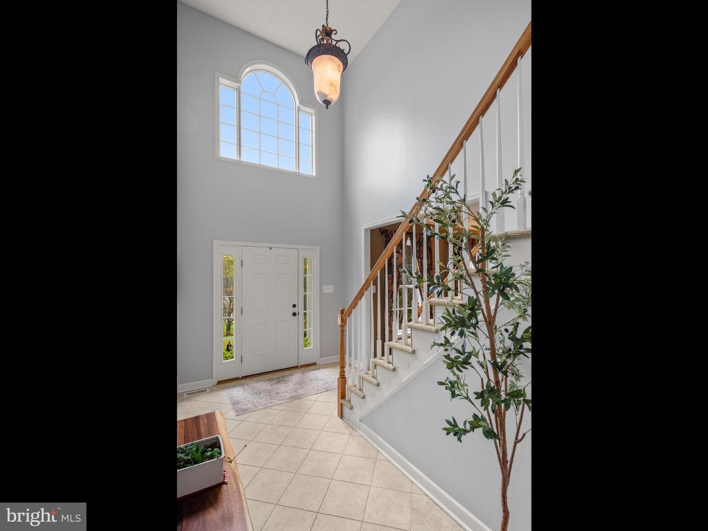 209 Martins Lane photo 18