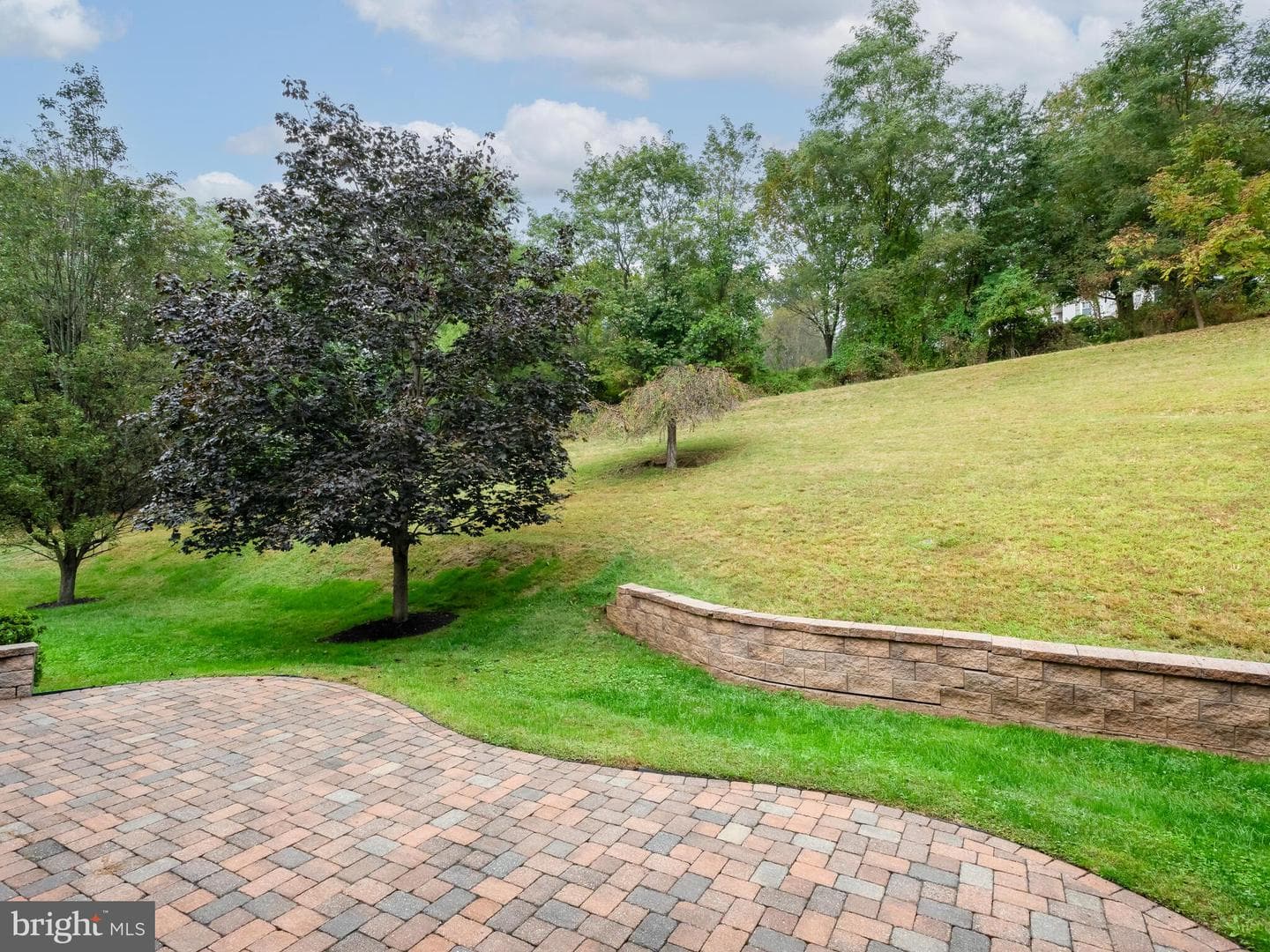 209 Martins Lane photo 42