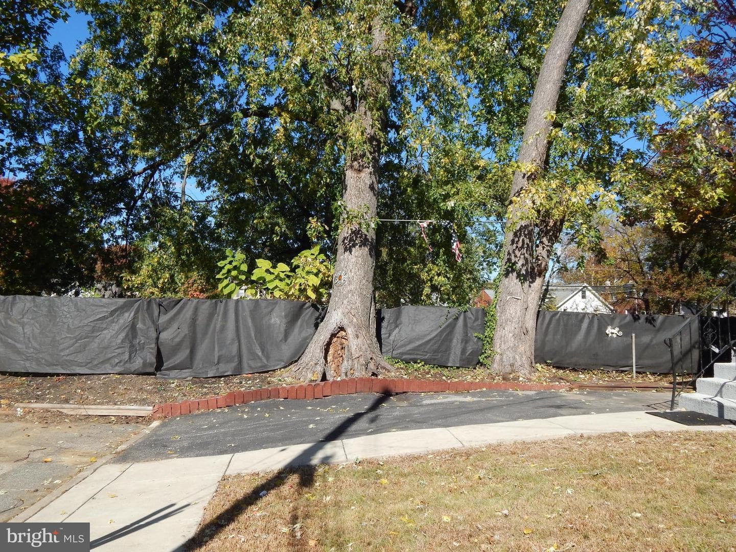 539 Pershing Ave photo 23