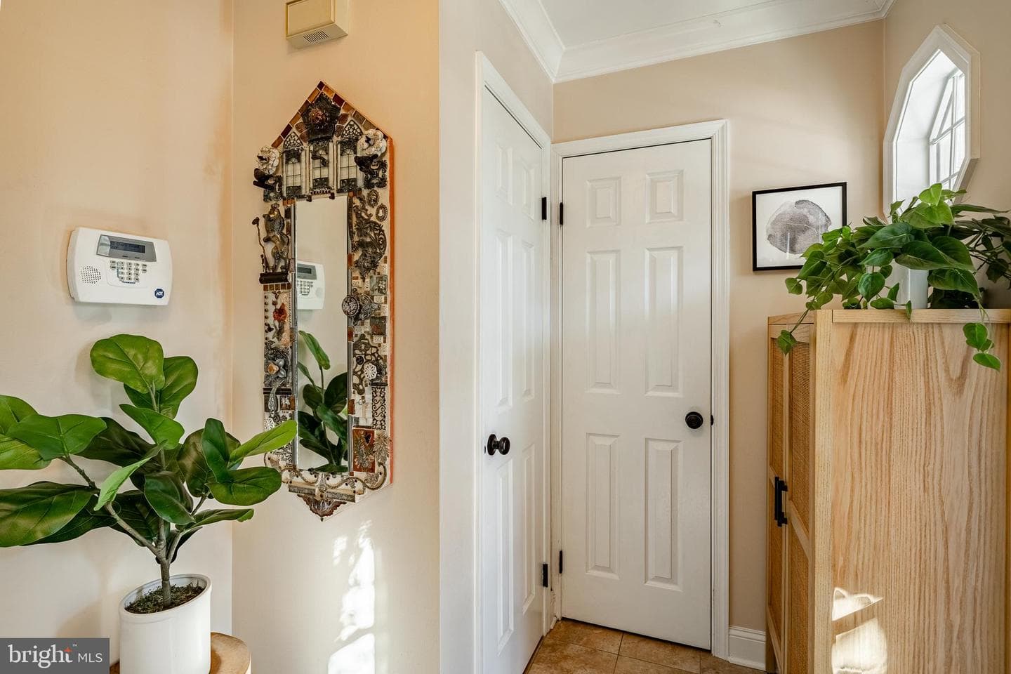 7 Ashley Court photo 5