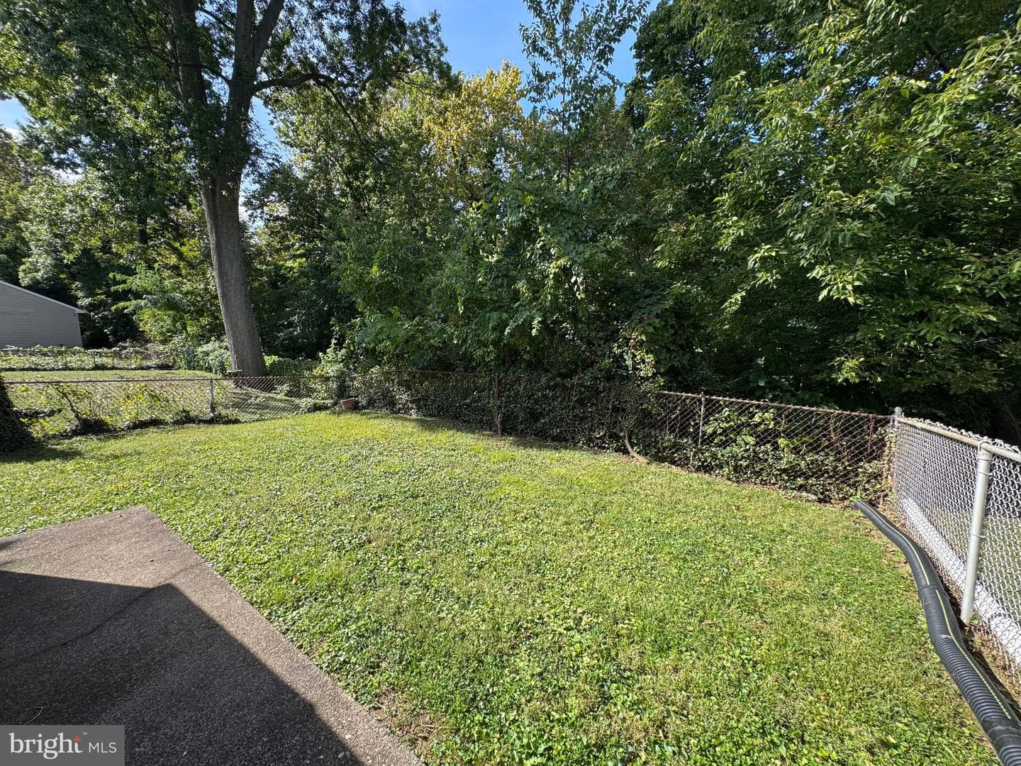 236 Willard Drive photo 19