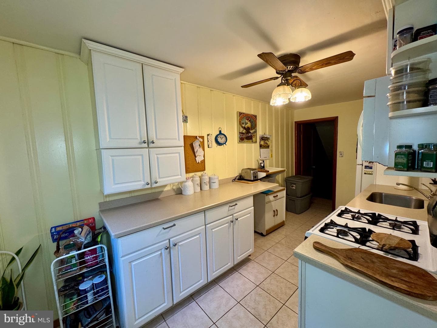 236 Willard Drive photo 8