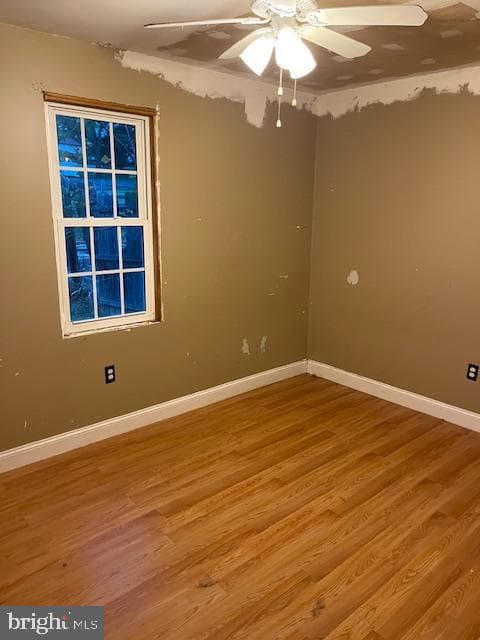 4012 Greenwood Avenue photo 7