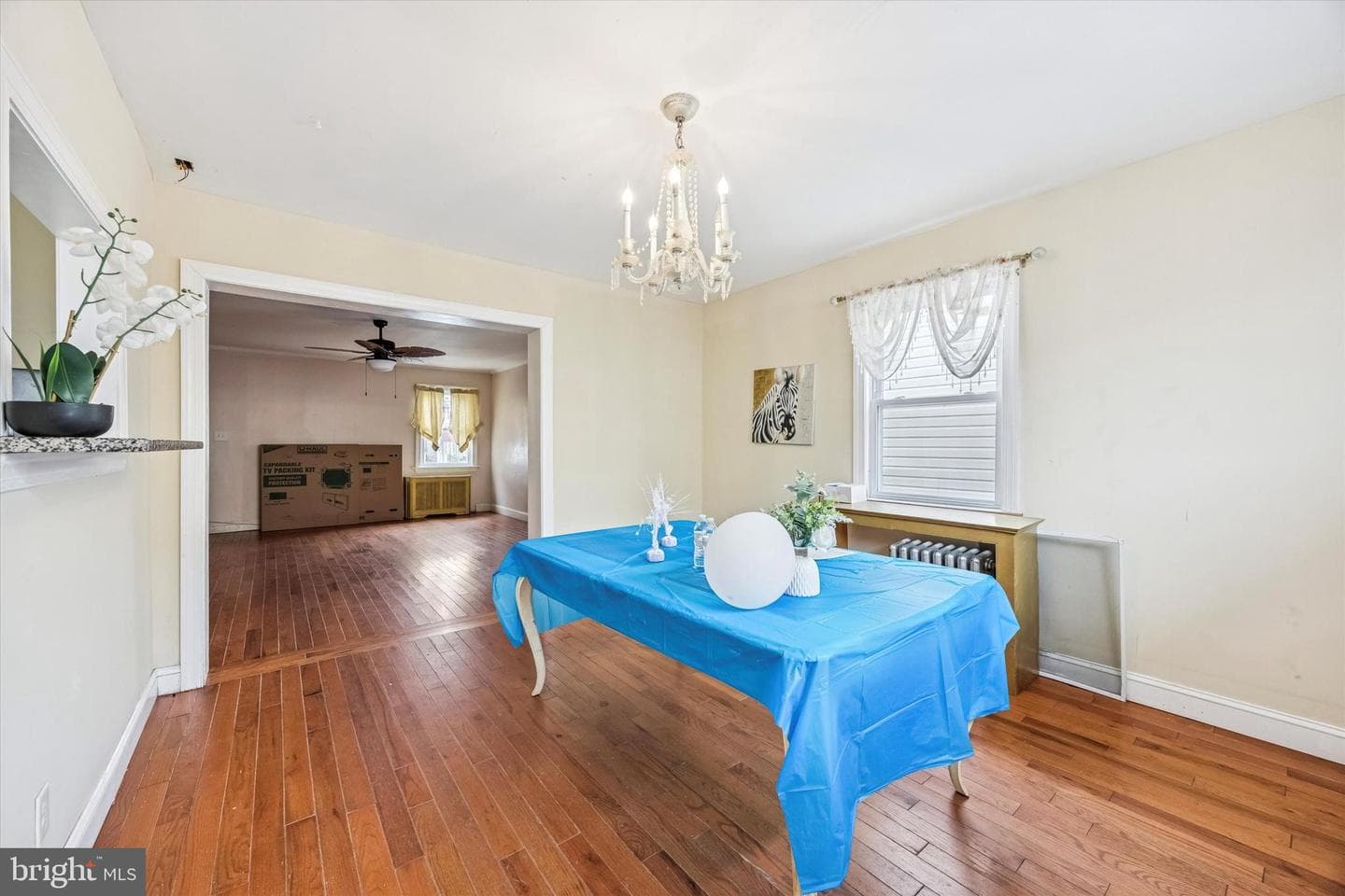 253 Shirley Road photo 5