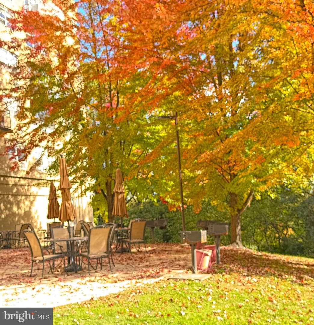 1030 E Lancaster Avenue #1029 photo 18