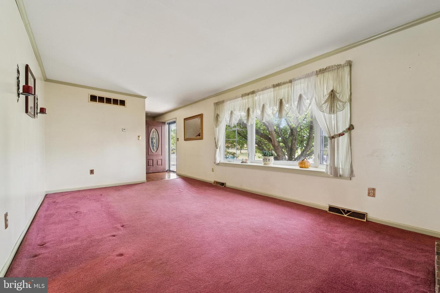505 Schick Road photo 4