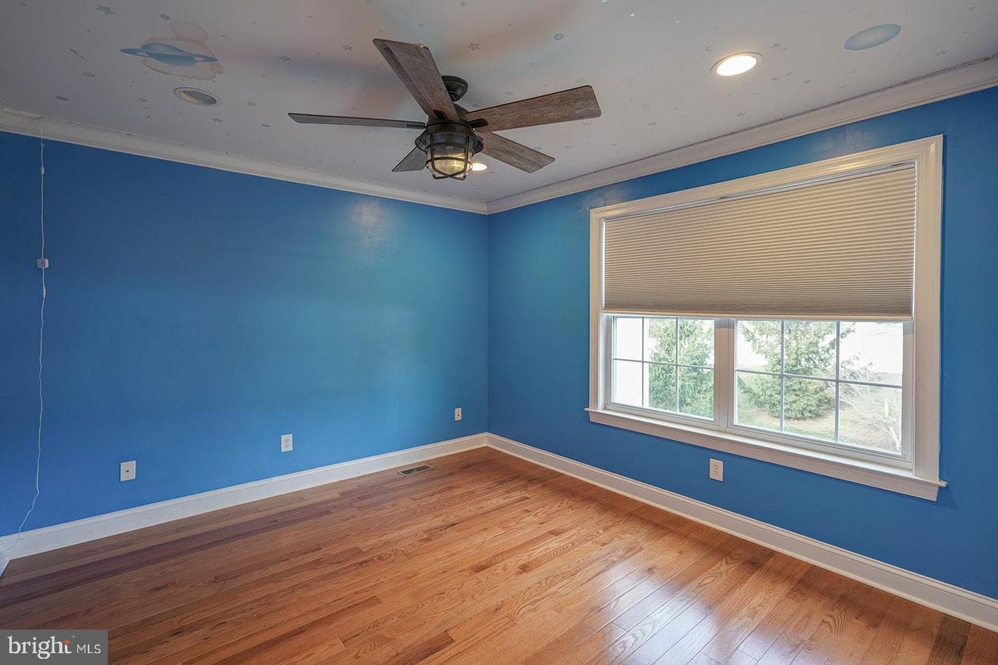 43 Sharpley Drive photo 31