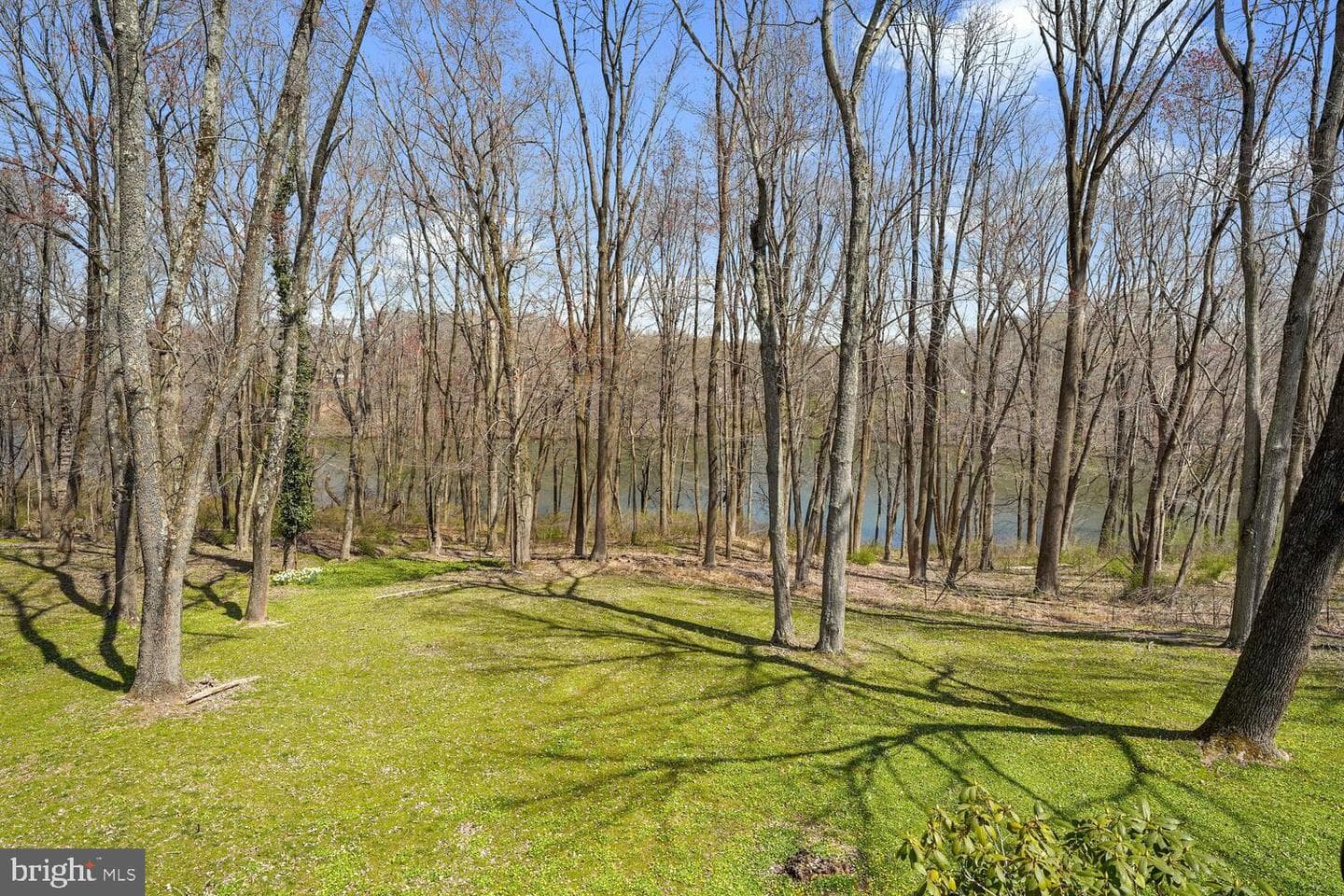 134 Springton Lake Road photo 75
