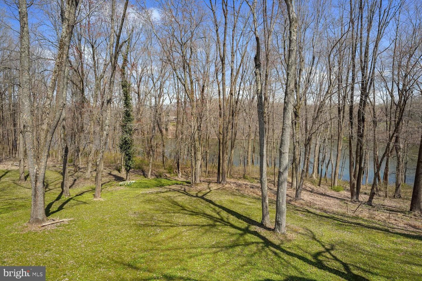 134 Springton Lake Road photo 77