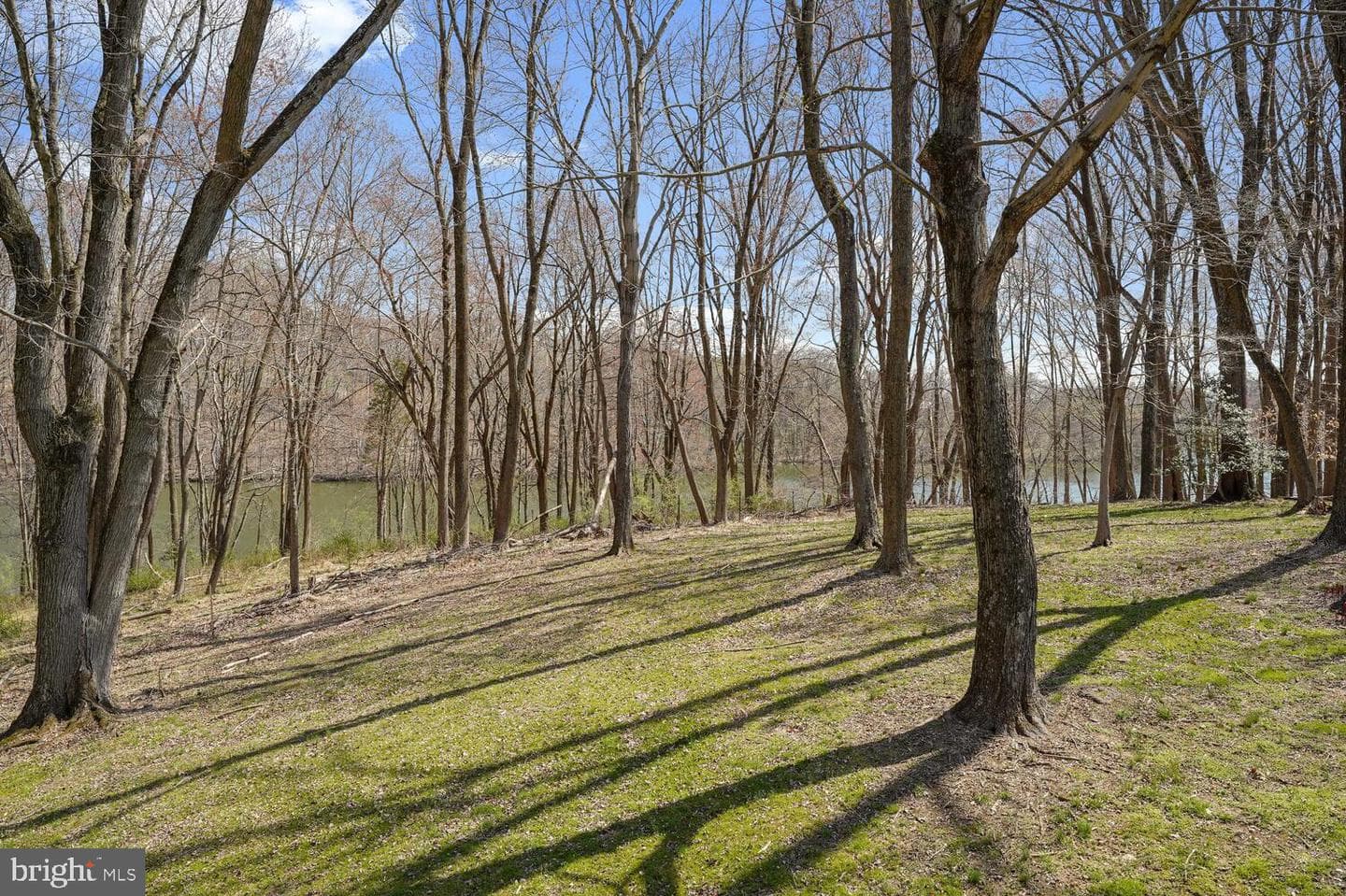 134 Springton Lake Road photo 79
