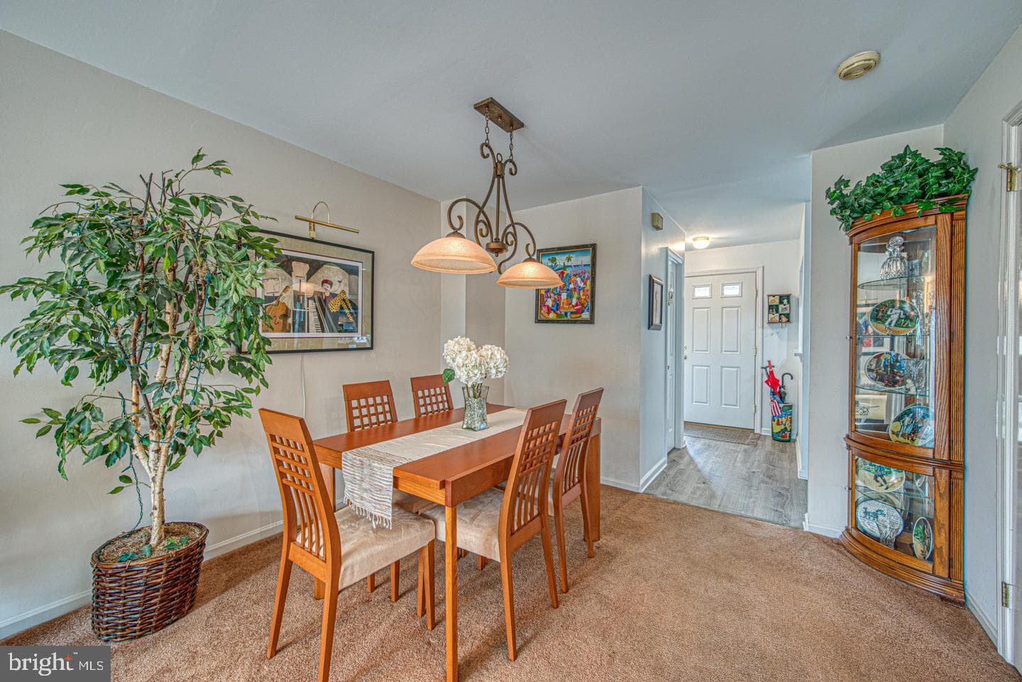 333 Scola Road photo 17