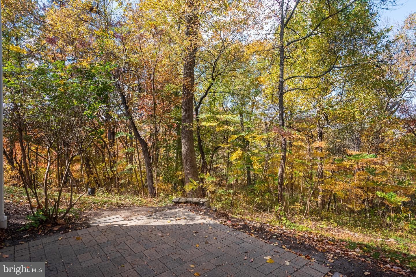110 Dauphin Drive photo 42