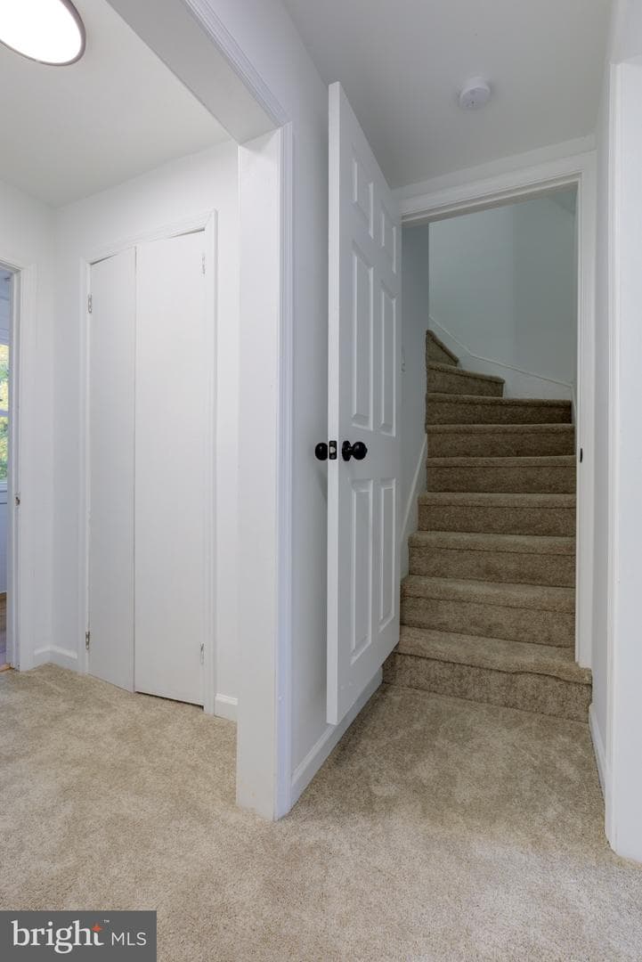 605 Andrews Avenue photo 27