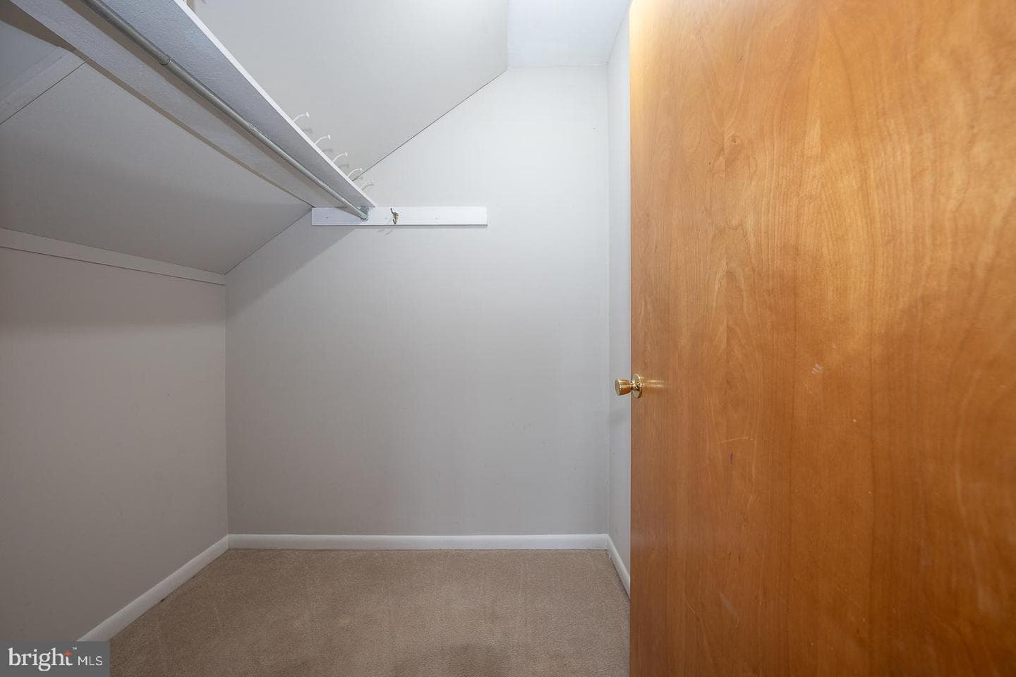 300 S Olive Street #2b photo 13