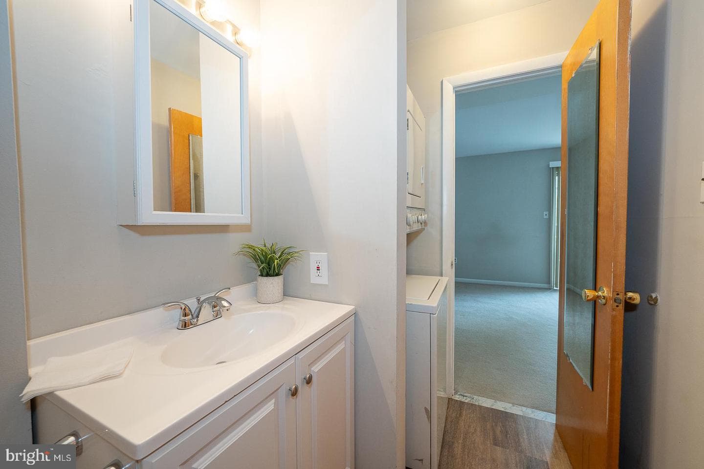 300 S Olive Street #2b photo 22