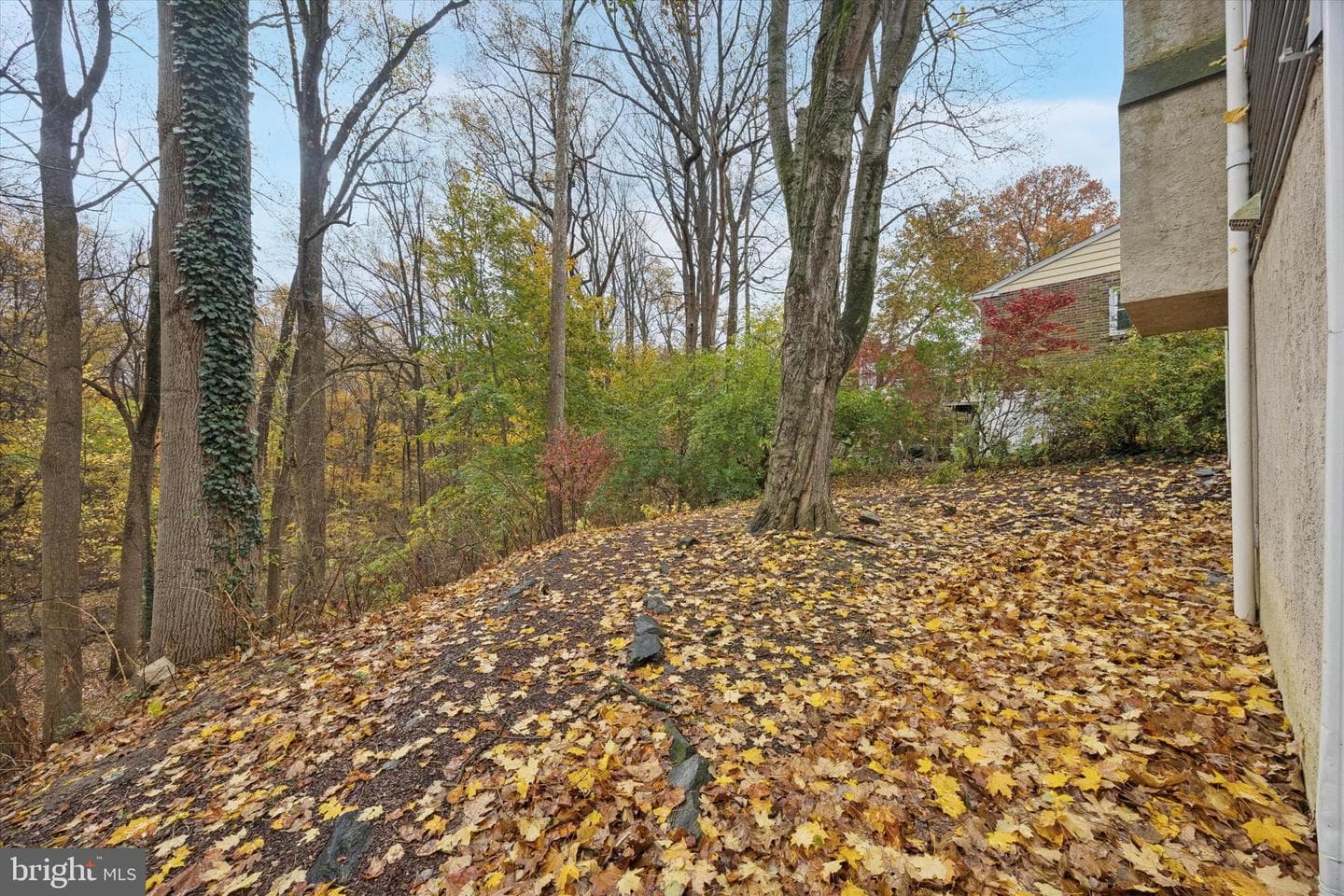 623 Old School House Drive photo 14