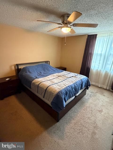 289 Whitehall Drive photo 17