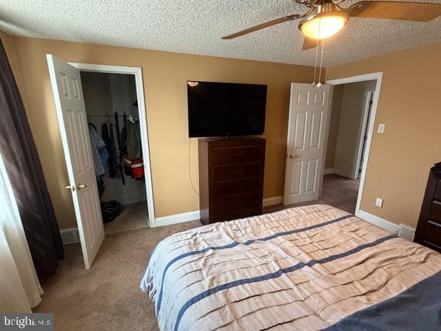 289 Whitehall Drive photo 18