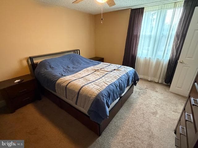 289 Whitehall Drive photo 19