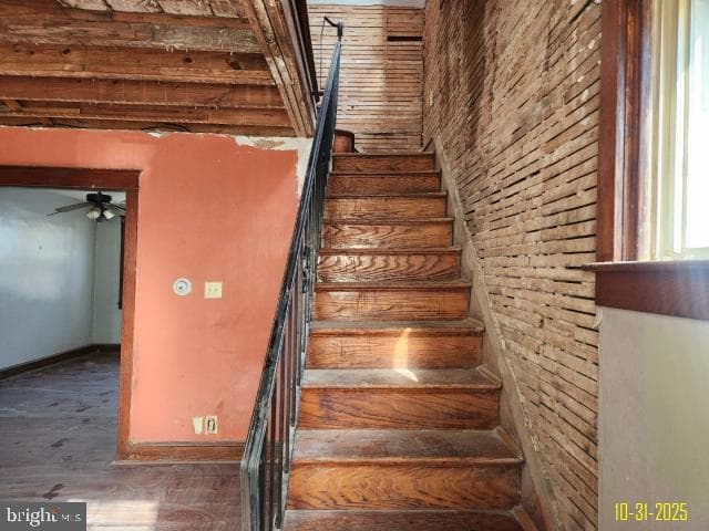 71 Burnside Avenue photo 14