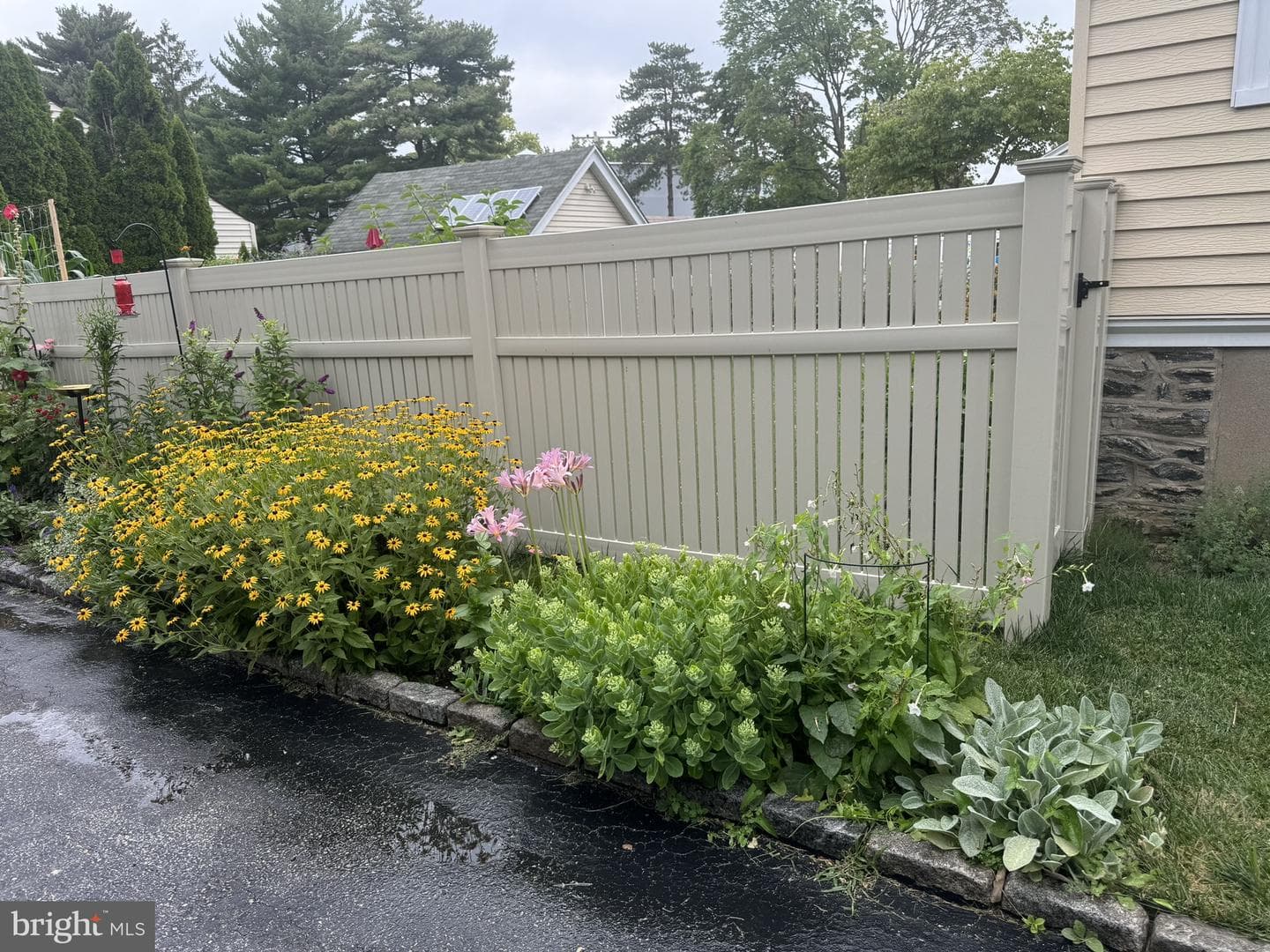 128 Campbell Avenue photo 34