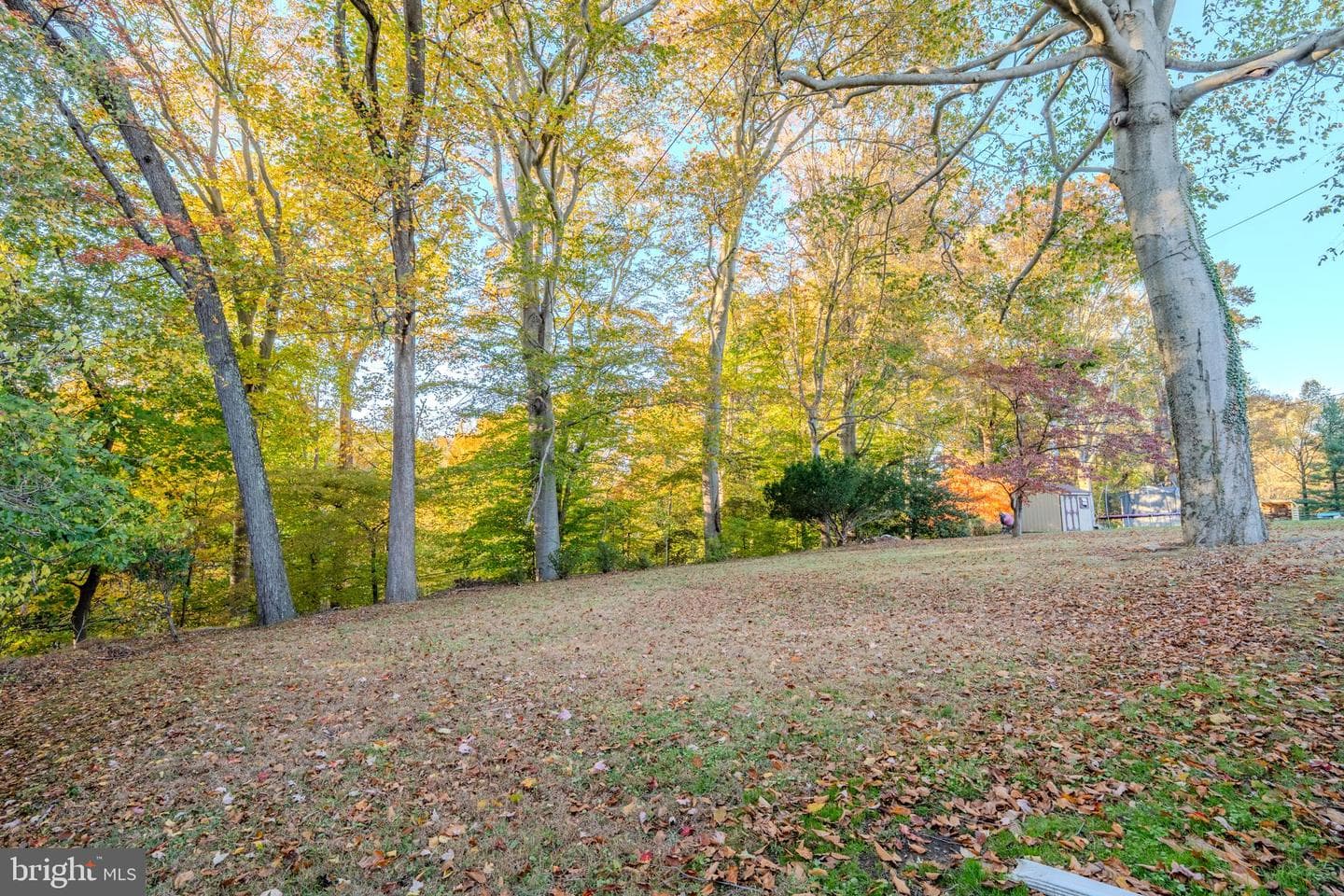 12 Lincoln Lane photo 35